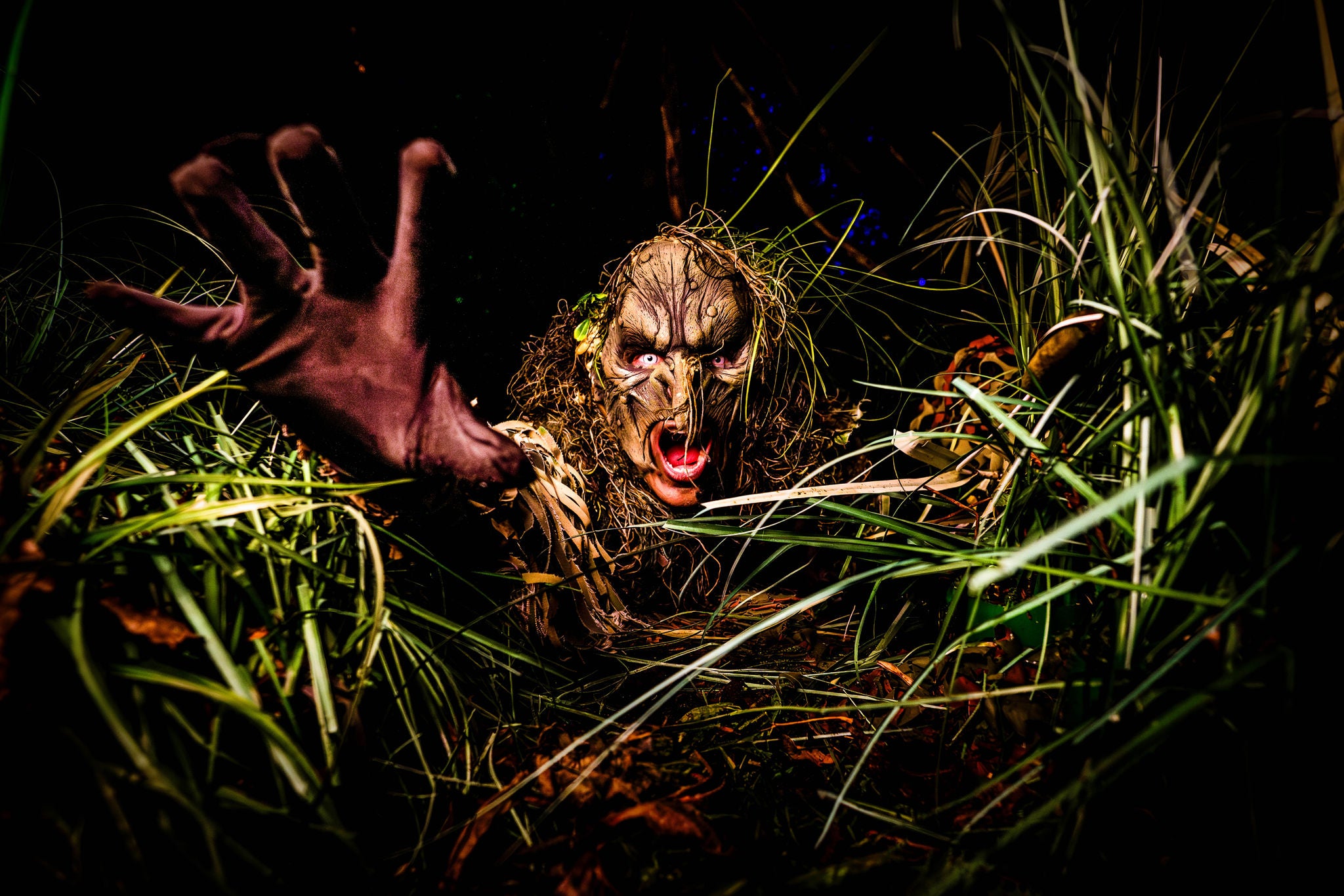 Do you dare to enter the bewitched forest. Witches were thought to have been exterminated, but nothing could be further from the truth.