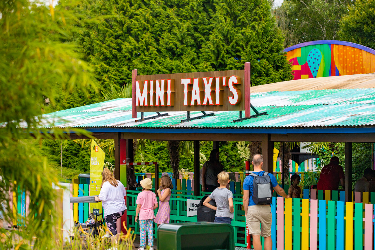 Mini Taxi’s: Autoscooter für Kinder - Walibi Holland