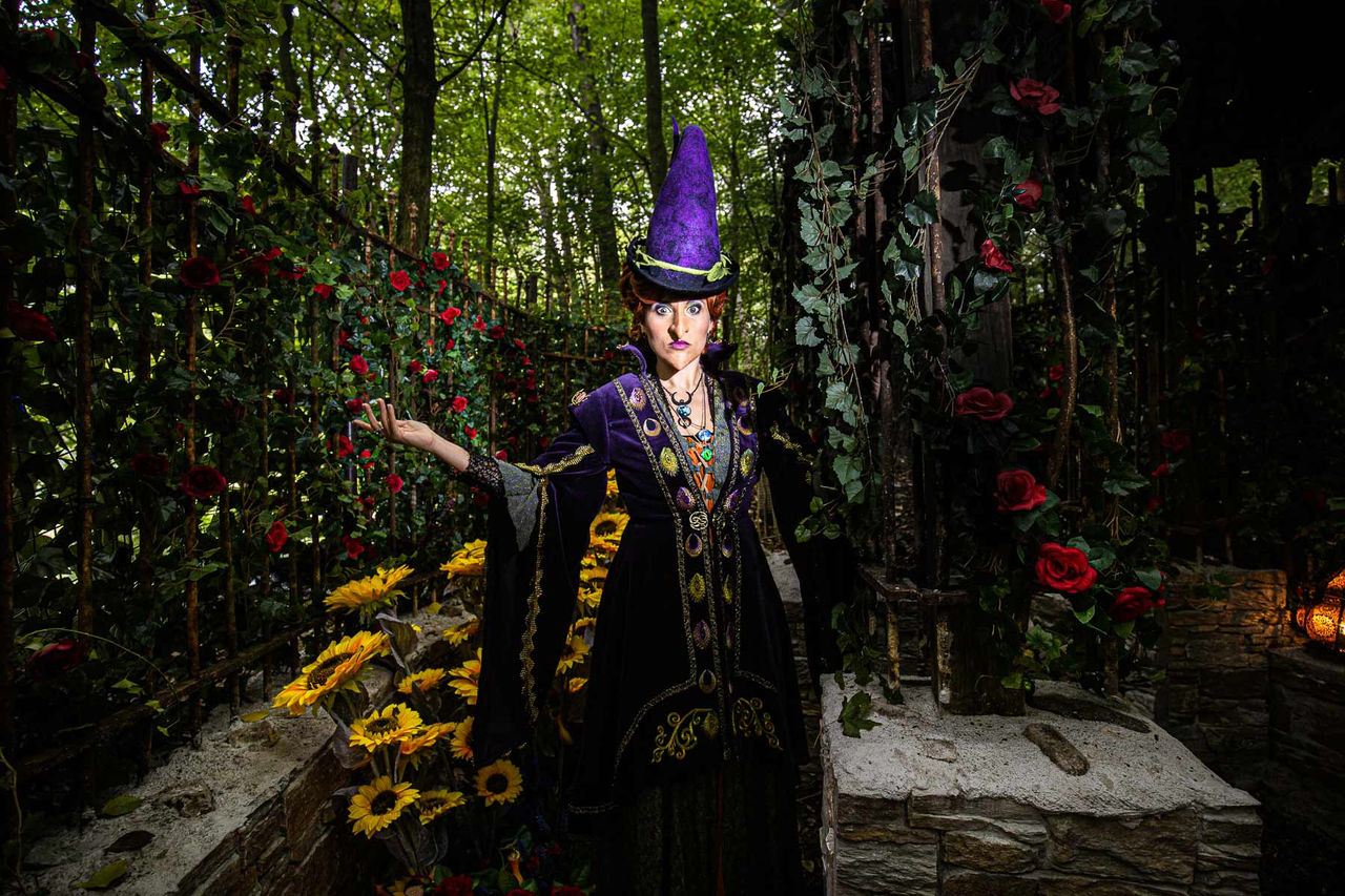 Betreed Wicked Woods tijdens Halloween Spooky Days